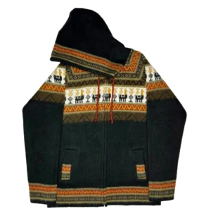 Black with earth tones Hoodie